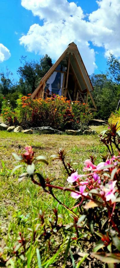 Luxury tent Dante Glamping Guatavita